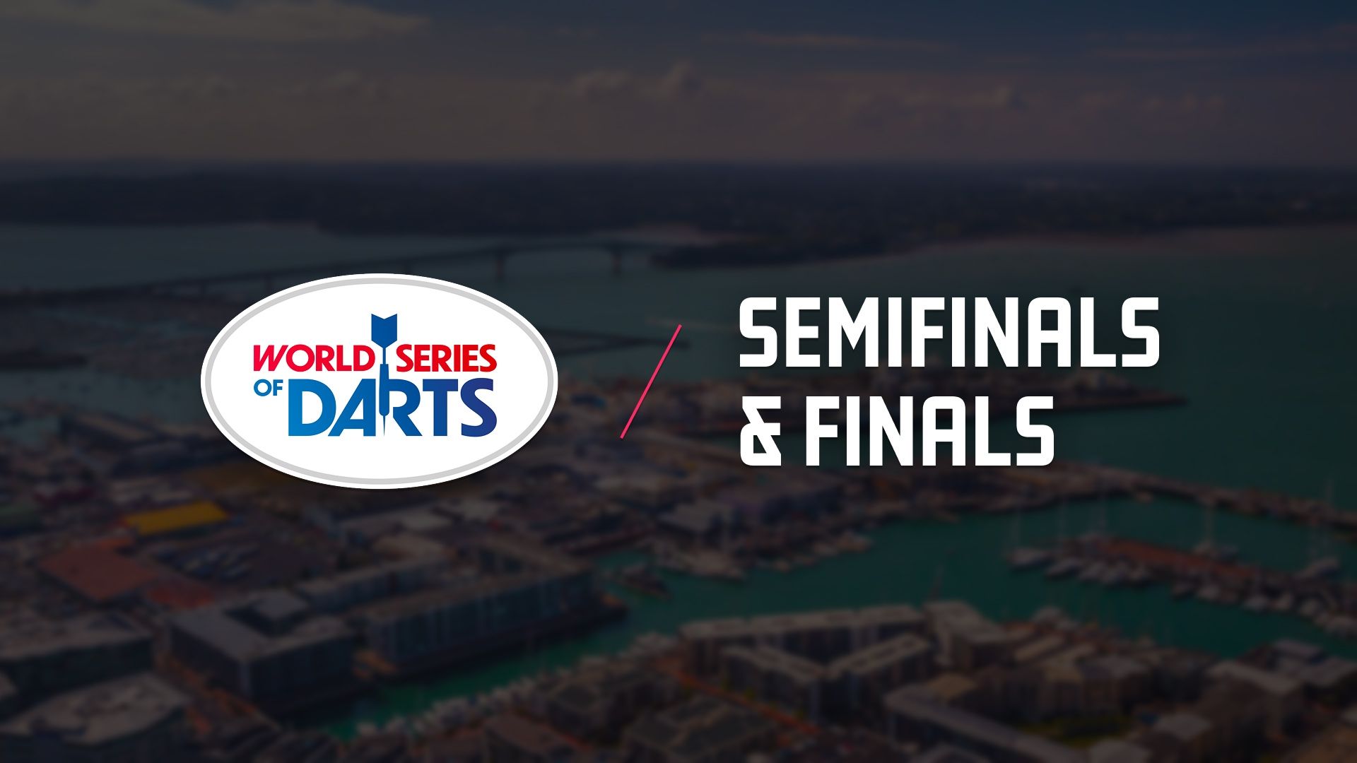  2025 World Series of Darts Finals. 