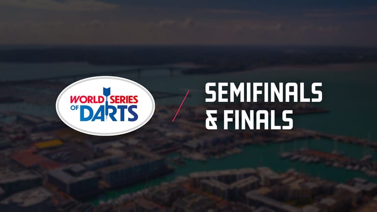  2025 World Series of Darts Finals. 