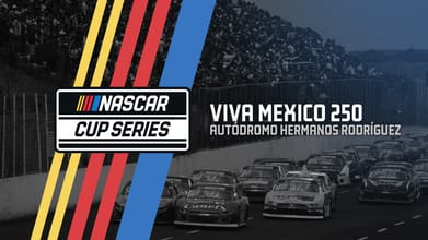 Viva Mexico 250.